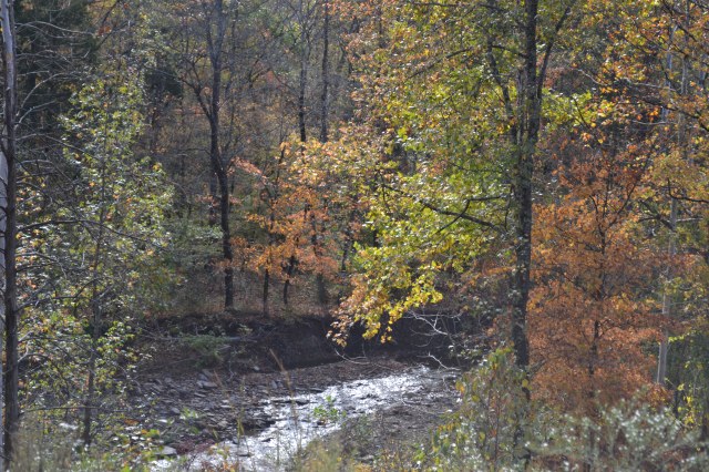Beside the Creek in Autumn